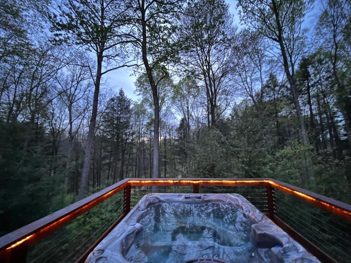 Beautiful Cabin On 83 Acres Near New River Gorge National Park Hico Exterior photo