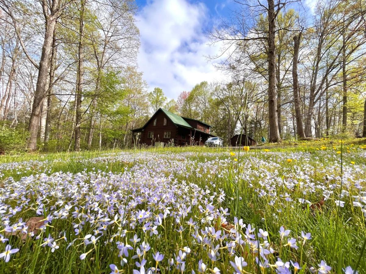 Beautiful Cabin On 83 Acres Near New River Gorge National Park Hico Exterior photo