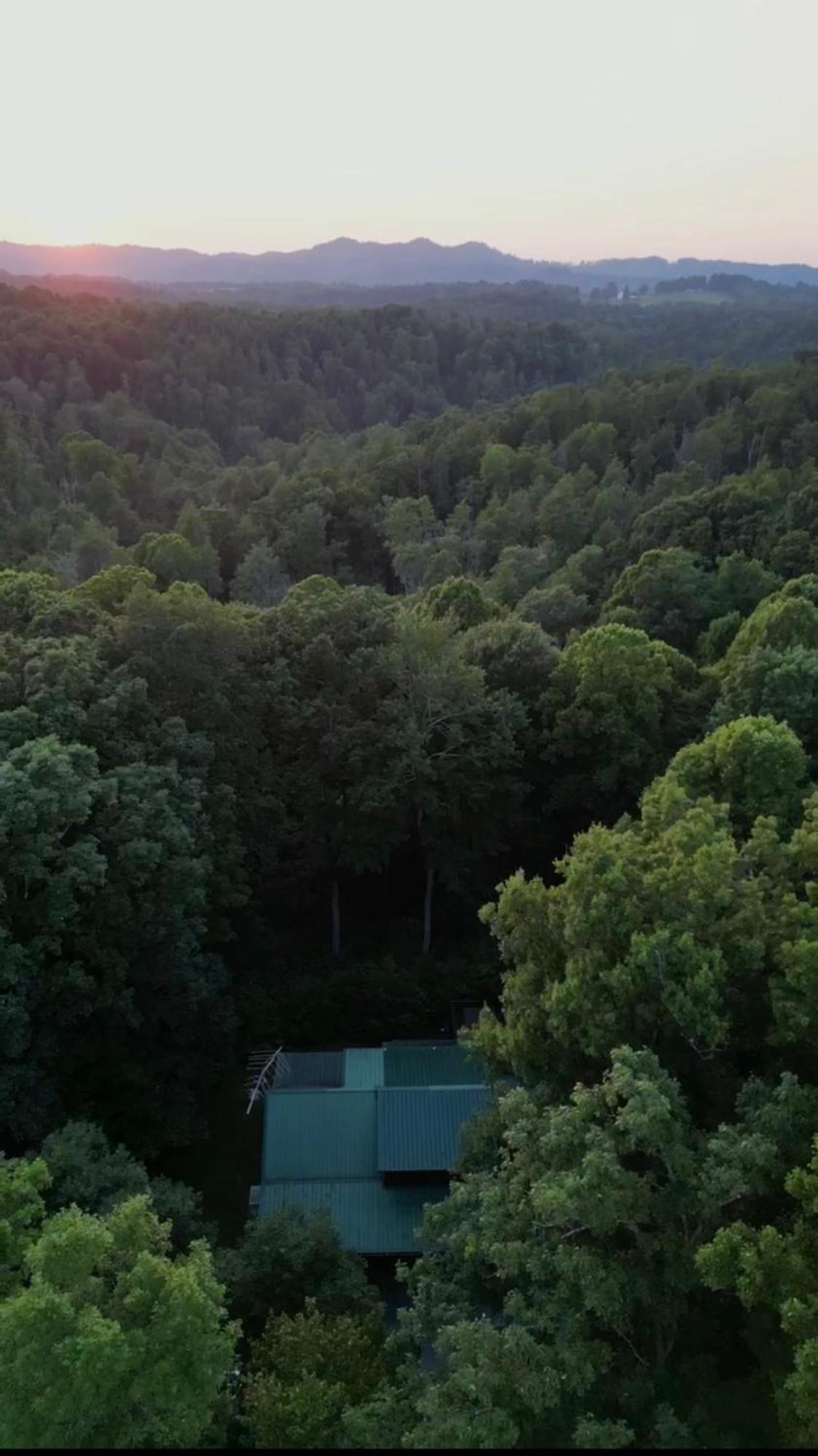 Beautiful Cabin On 83 Acres Near New River Gorge National Park Hico Exterior photo